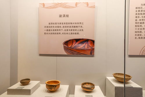 最强蜗牛博物馆宣传券怎么得 博物馆宣传券有什么用