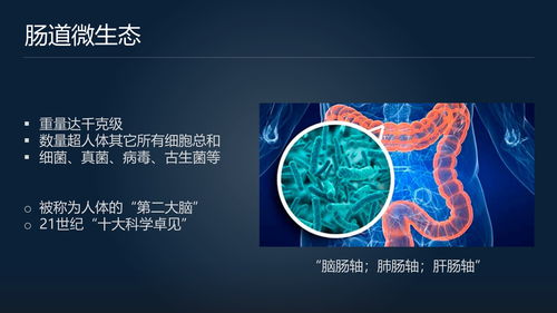 最强蜗牛纳斯达克开市钟怎么获得 纳斯达克开市钟怎么样