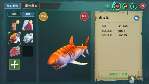 创造与魔法蝾螈多少级可以抓