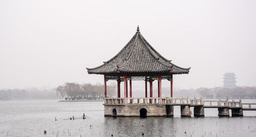 江南百景图湖心亭摆放要求 湖心亭有什么要求