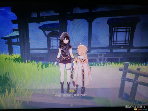 原神夜泊石在哪 夜泊石有什么用