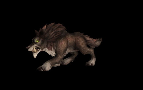 点金猎人宠物怎么选 什么宠物好