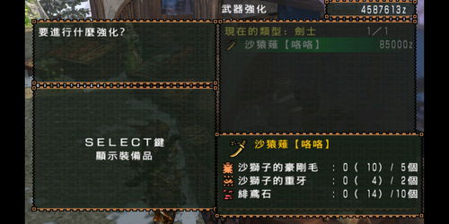 点金猎人什么武器好 武器选择攻略