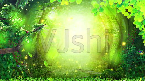 元素方尖1-6怎么过 密林之争帮树精还是萤火虫 元素方尖1-6怎么过 密林之争帮树精还是萤火虫