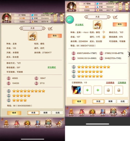 想不想修真宠物怎么培养 7代龙凤怎么培养