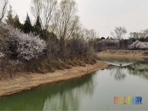 江南百景图桃花村怎么进入 桃花村进入方法介绍