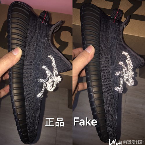 悠长假期椰子怎么获得 椰子怎么卖