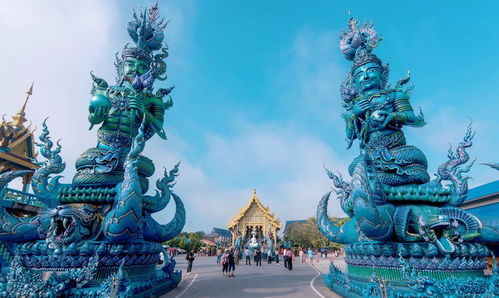 最强蜗牛东海龙宫5层怎么过