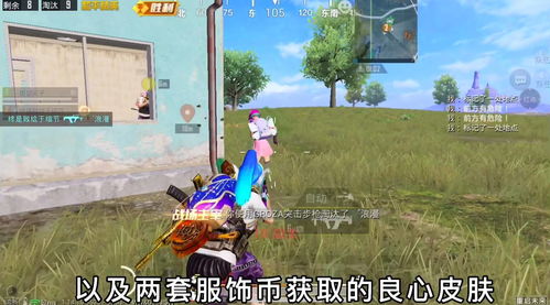 和平精英ss10赛季手册皮肤是什么
