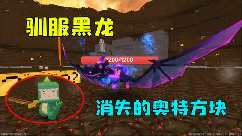 迷你世界龙蛋怎么解封 迷你世界龙蛋有什么用