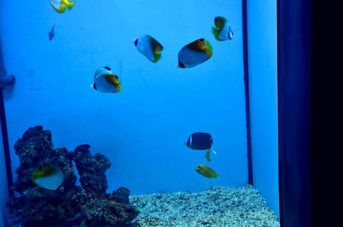 最强蜗牛东海龙宫4层怎么过