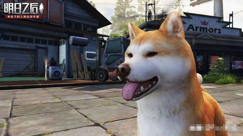 明日之后爱犬相伴玩法攻略 宠物系统介绍