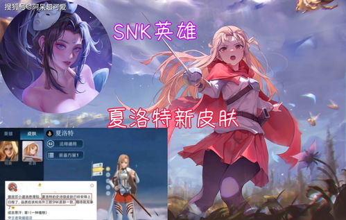 王者荣耀夏洛特什么时候上线 夏洛特上线时间介绍