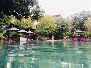 爆炒江湖鱼塘怎么解锁 池塘开放条件