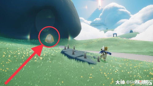 光遇净化十株黑暗植物在哪里 净化十株黑暗植物任务完成攻略