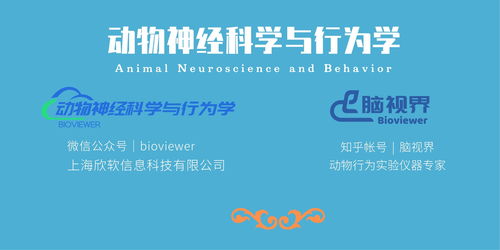 万国觉醒科技研究攻略分享 新手科技研究方法推荐