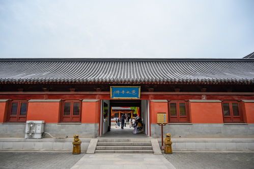 江南百景图天妃宫有什么用 天妃宫作用介绍