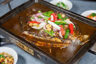 原神鱼肉在哪 鱼肉刷新地点