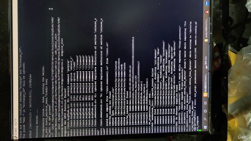 光遇为什么凌晨跑图 凌晨献祭问题