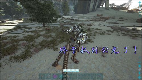 明日方舟不期而遇瘴气林地选项介绍 瘴气林地选项