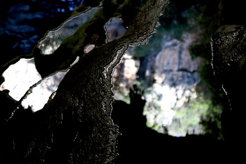 江南百景图钟乳石怎么获得 钟乳石获得方法