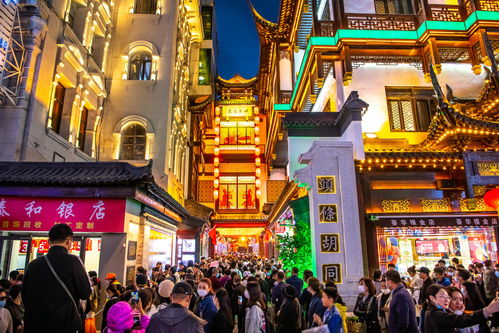 江南百景图大宝二宝小宝老宝在哪