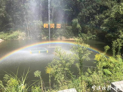 江南百景图桃花村迷雾怎么去除 江南百景图桃花村迷雾去除方法