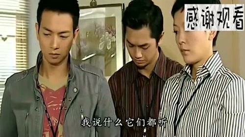 犯罪大师祸根苗答案是什么 祸根苗答凶手是谁