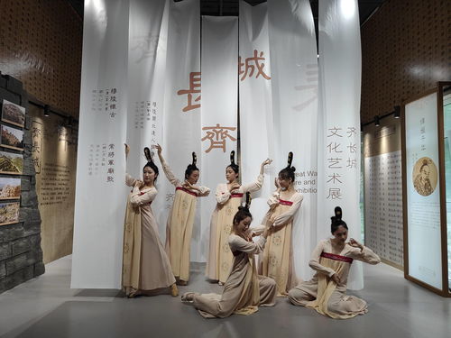 动物餐厅汉服白兔怎么解锁 汉服白兔解锁条件