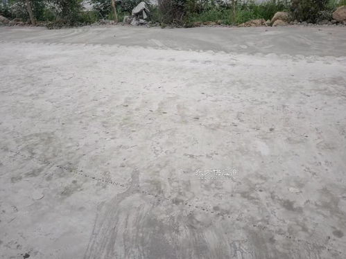 最强蜗牛玛阿特石板怎么样 最强蜗牛玛阿特石板特性介绍