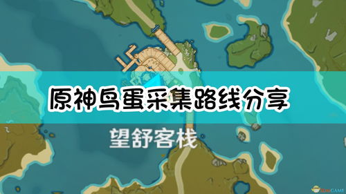 原神鸟蛋哪里多 鸟蛋地图分布位置