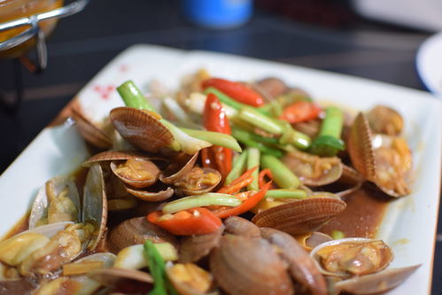 最强蜗牛七彩炫菇大餐怎么得 七彩炫菇大餐获取攻略