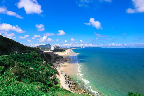 光遇美丽的海岛在哪 美丽的海岛位置分享