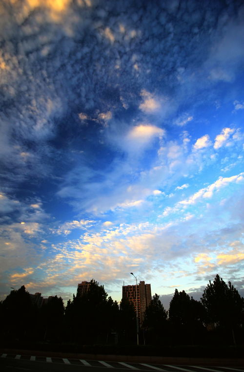 江南百景图彩云狸在哪 彩云狸有什么效果