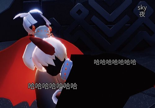光遇白鸟斗篷怎么玩 白鸟斗篷获取途径