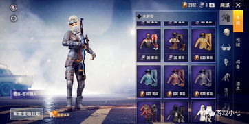 和平精英战队时装介绍 战队时装有哪些