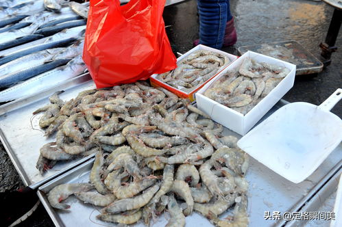 最强蜗牛关东煮怎么获得 关东煮获得途径一览