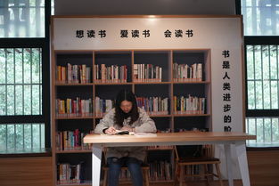 迷雾之夏书柜手机密码是什么 迷雾之夏书柜手机解锁密码介绍