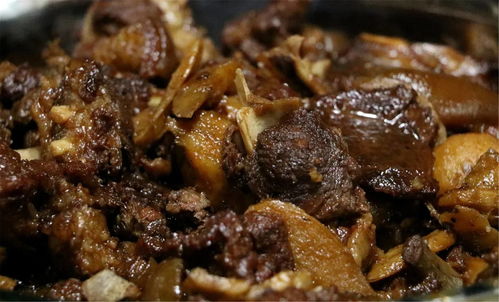 食物语金银蹄髈怎么样 金银蹄髈人物详解