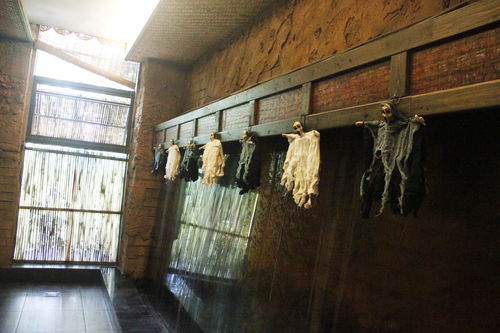 白猫和废弃的病院场景15怎么过 院长室正面通关攻略