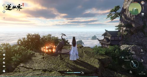 原神无妄坡山顶宝藏怎么得 无妄坡山顶解密攻略
