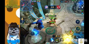 王者荣耀无限火力最强英雄介绍 无限火力最强英雄有哪些