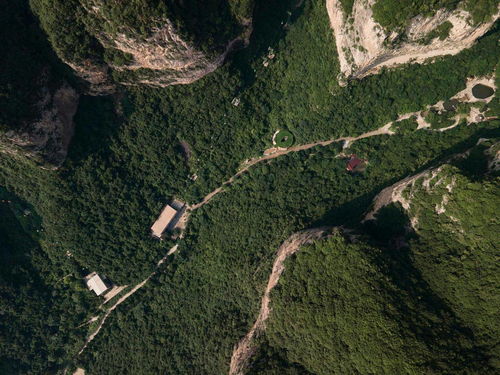 原神奥藏山遗迹宝藏在哪里 奥藏山遗迹石碑介绍