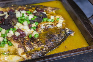 原神鱼肉怎么得 鱼肉刷新地点