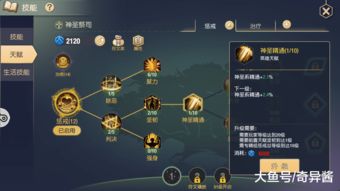 原神天赋培养素材怎么得 天赋培养素材获取途径