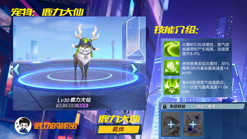 QQ飞车手游毕方好用吗 宠物毕方介绍