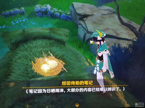 原神我来我见我征服成就怎么做 我来我见我征服成就攻略