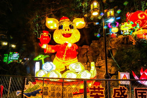 光遇中秋灯笼礼包值得买吗 夏夜之灯购买推荐