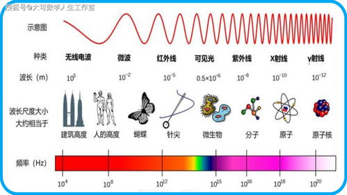 光遇抛球动作有什么区别 一级二级三级四级抛球动作详解