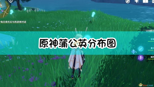 原神蒲公英去哪刷 蒲公英哪里多